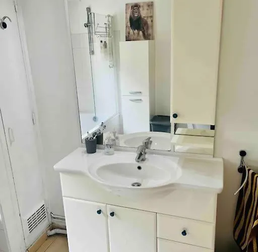 Feline's - T2 Moderne 51 M2, Proche Centre Apartment