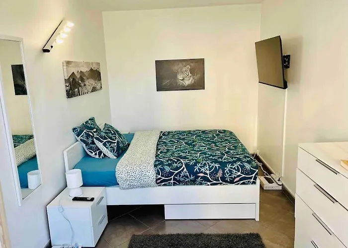 Apartment Feline's - T2 Moderne 51 M2, Proche Centre *